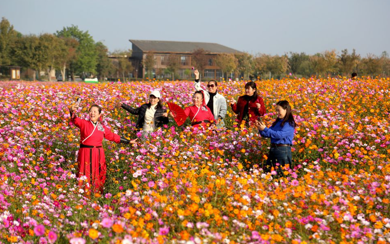 秋花爛漫引客來